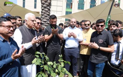 Lahore Qalandars Kickstart Plantation Drive with Tree Plantation at UMT Campus