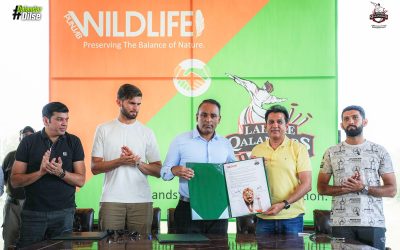 Lahore Qalandars Join Hands with Wildlife Department Punjab to Champion Nature Conservation